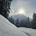 Haus Alpenblick Lägenhet *