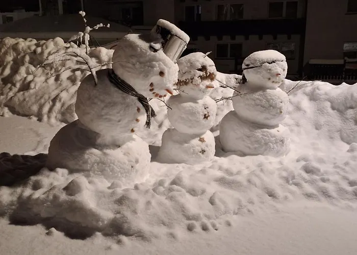 Haus Alpenblick Appartement See