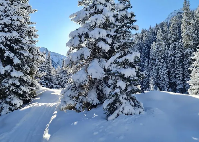 Haus Alpenblick * See