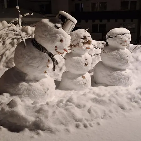 Haus Alpenblick Daire See