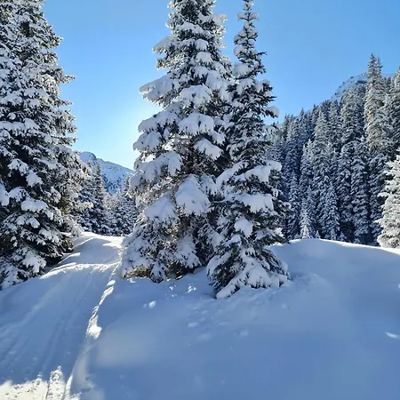 Haus Alpenblick * See