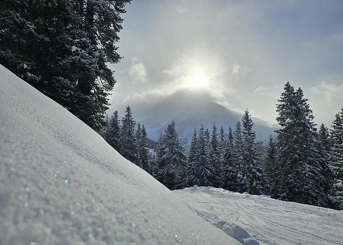 Haus Alpenblick شقة *