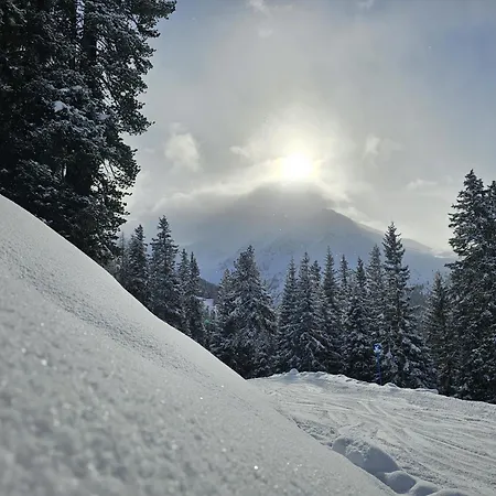 Haus Alpenblick Apartment *